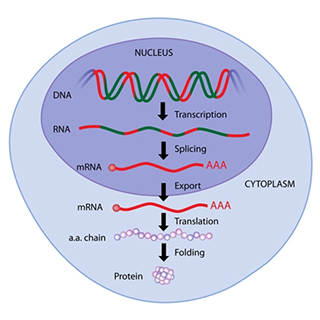 current research topics bioinformatics