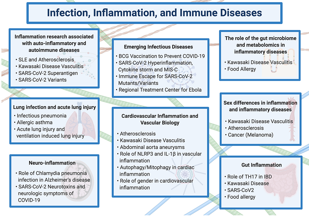 Graphic of Infection, Inflammation and Immune Diseases at Cedars-Sinai