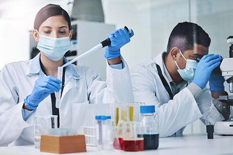 Researchers working in a lab