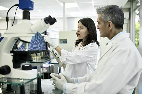 Geroscience researchers in a lab