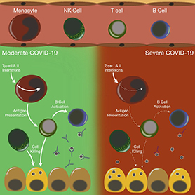 COVID-19 pathogenic mechanisms model