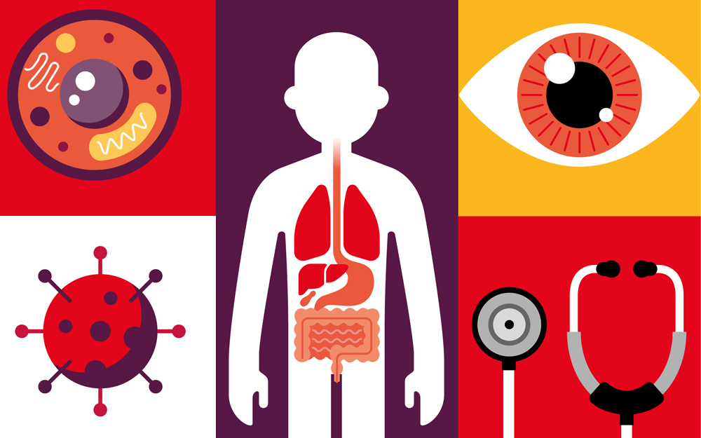 image-COVID-19 Vaccine Response in IBD Patients