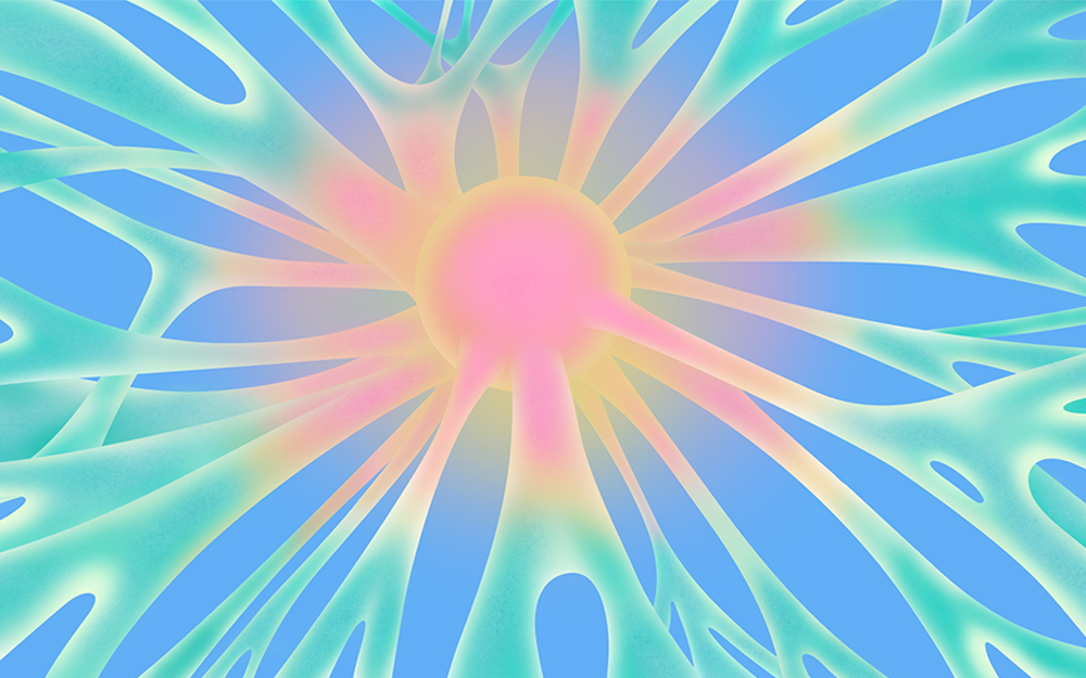 image-The Rise of the Organoids