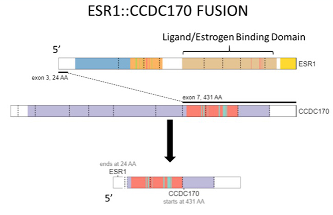 Genomic profiling