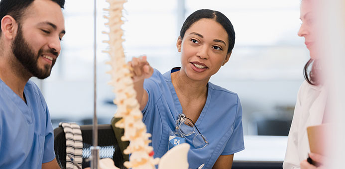 Medical students in a classroom looking at the spine