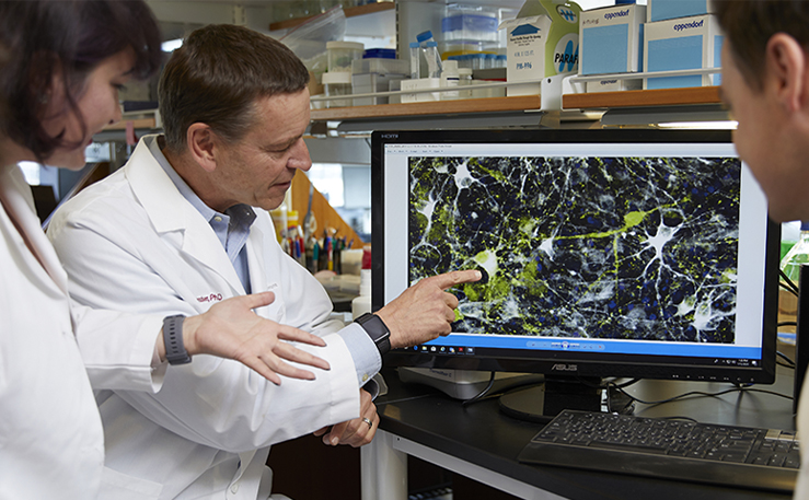 Clive Svendsen, PhD, points to a photo of neurons during a discussion with his team