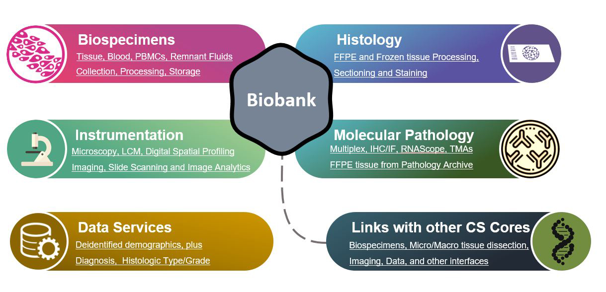 biobank workflow chart