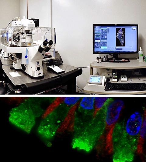 Zeiss LSM 780 Confocal with Airyscan