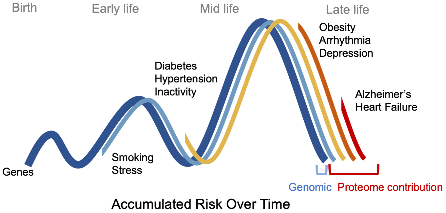 Proteomics Risk over Time Graph