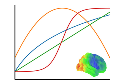 Mapping normative brain development