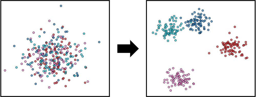 Parsing heterogeneity in autism
