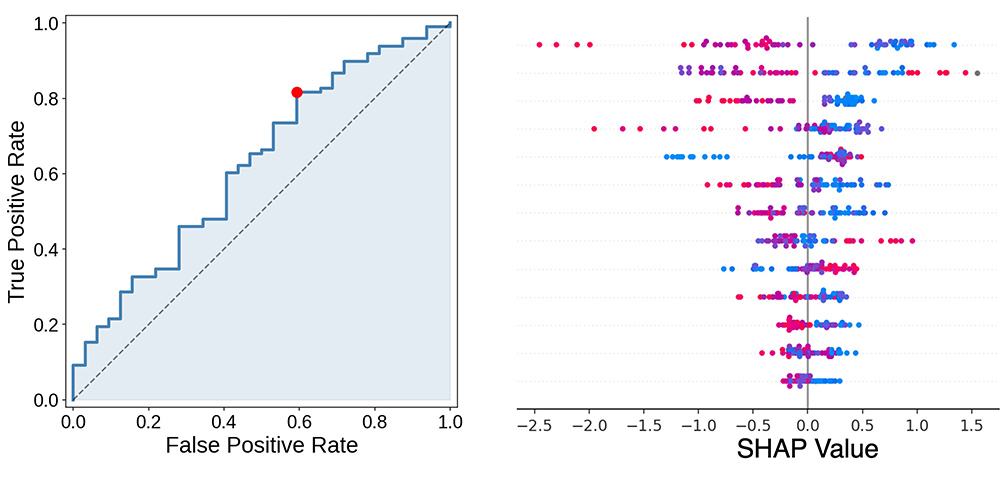Integrating brain and environment to predict developmental outcomes