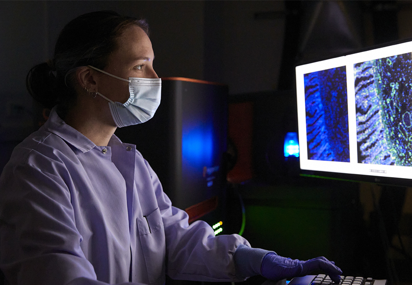 Laboratory member working at the Cedars-Sinai Merchant research laboratory