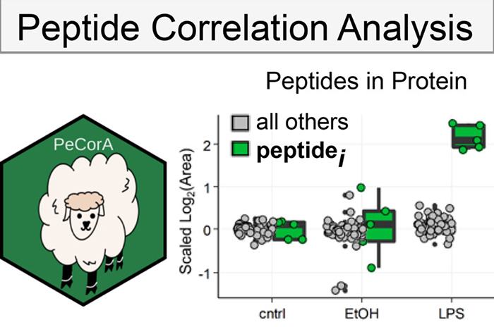Peptide Correlation Analysis