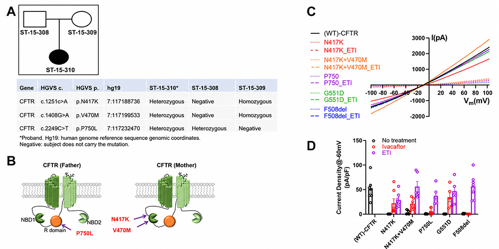 WES to identify CFTR variants in the patient, and augmentation of CFTR channel function with patient’s mutations to CF modulators