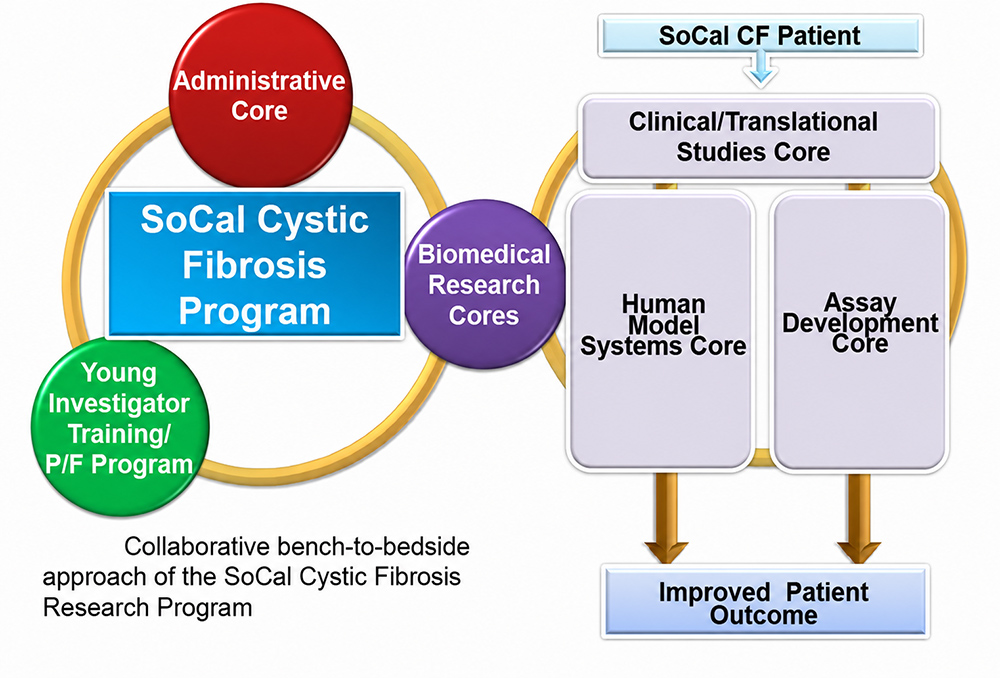 Collaborative bench-to-bedside approach of the SoCal Cystic Fibrosis Research Program.
