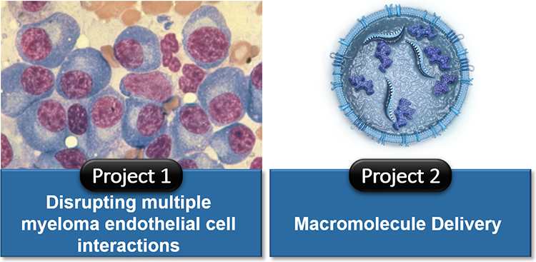 Sasine Lab research at Cedars-Sinai.