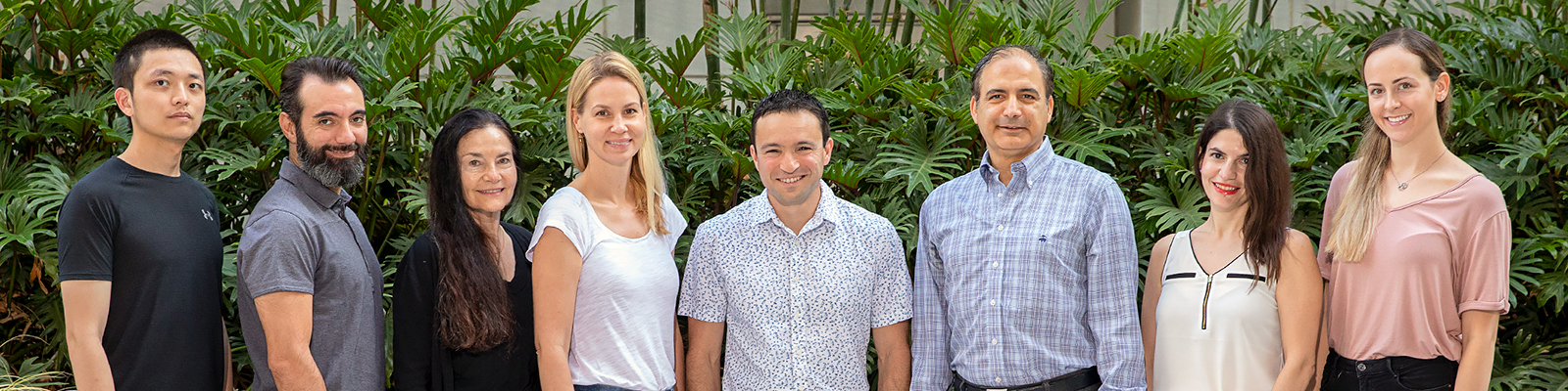 Sheyn Lab Members