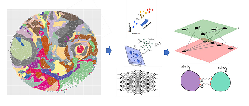 Single-cell and spatial genomics data
